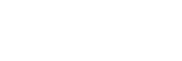 INS POBLA DE SEGUR
