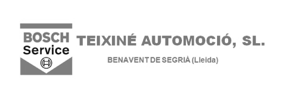 TEIXINE AUTO