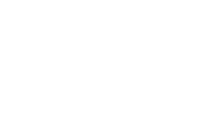 dipuatacio-lleida-blanc
