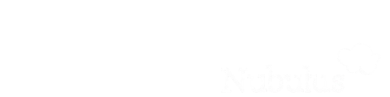 NUBULUS-WEB-SERVICES-1-removebg-preview